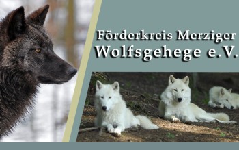 Banner des Fördervereins