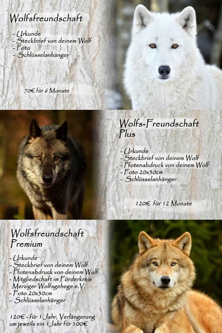 Wolfsfreundschaft